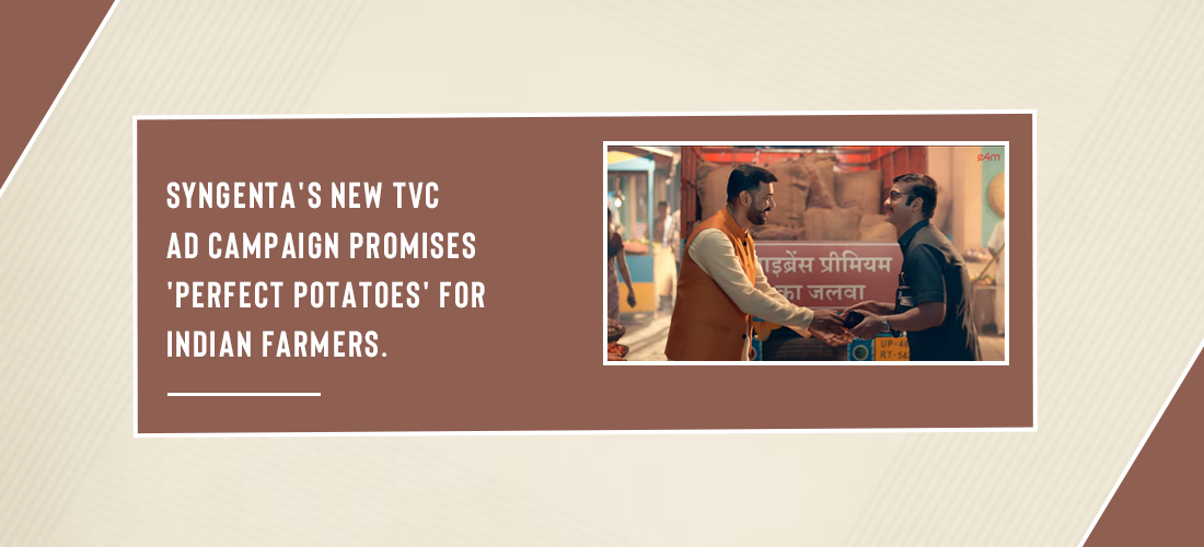 Syngenta's new TVC ad campaign promises 'Perfect Potatoes' for Indian farmers. Product Image