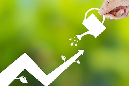 Sustaining Growth