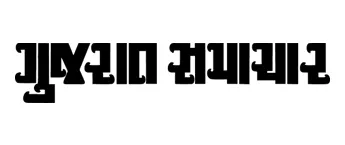 Gujarat Samachar, Website