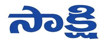 Sakshi, Website Sakshi, Website