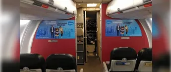 Cabin Bulkheads