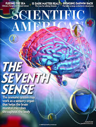 7th Sense 7th Sense