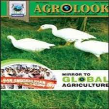 Agrolook Agrolook