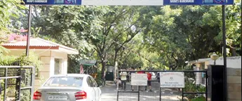Society Gate Branding