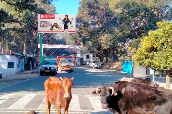 Outdoor Advertising image