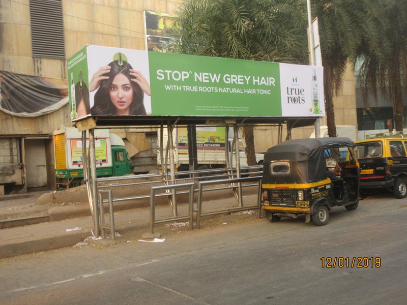 Bus Queue Shelter - Kirol Village Road - Holy Cross,   Vidyavihar,   Mumbai,   Maharashtra